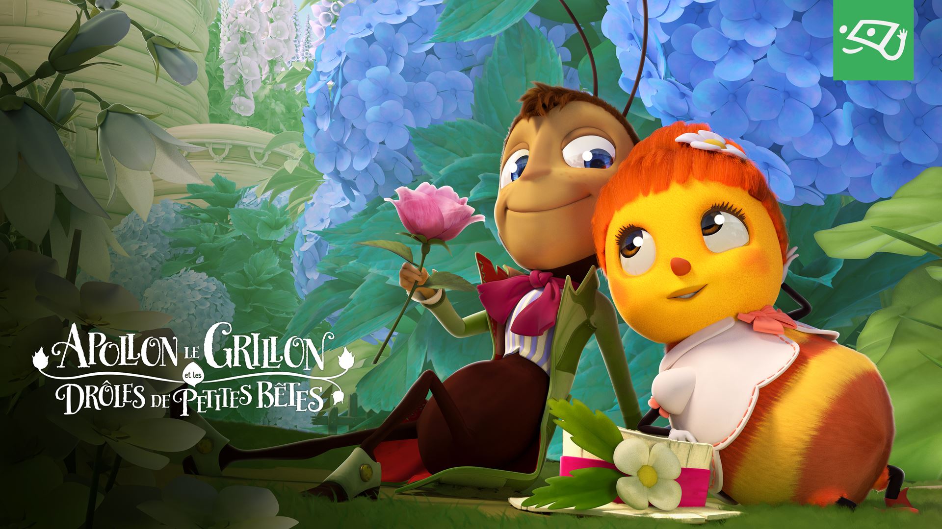 Apollon Le Grillon Et Les Drôles De Petites Bêtes Apollon le grillon et les drôles de petites bêtes | Télé-Québec
