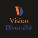 Logo Vision Diversité