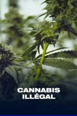Cannabis illégal