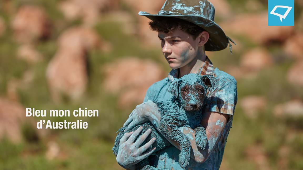 Blue, mon chien d'Australie