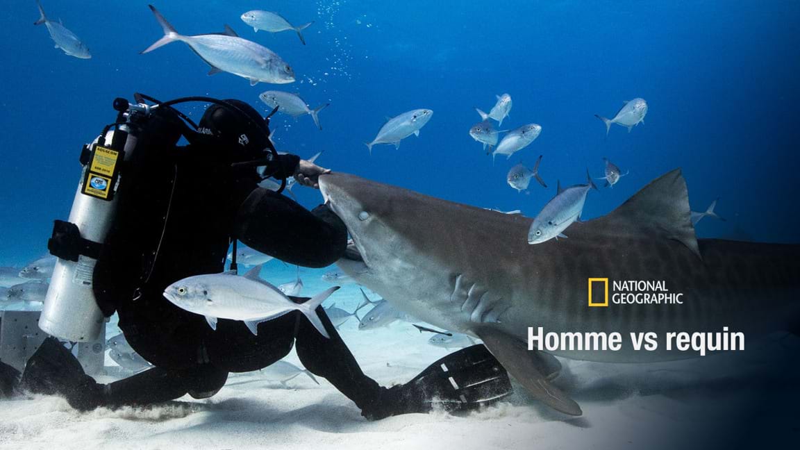 Homme vs requin