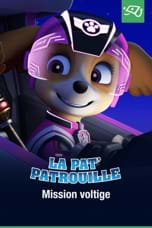 La Pat'Patrouille : Mission voltige