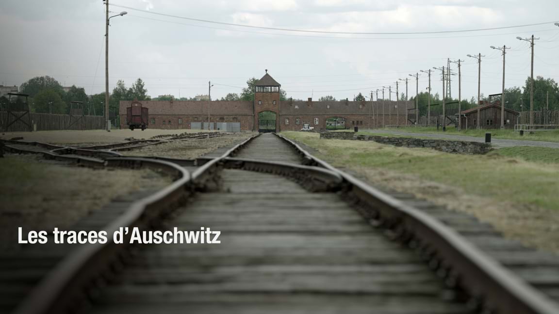 Les traces d'Auschwitz