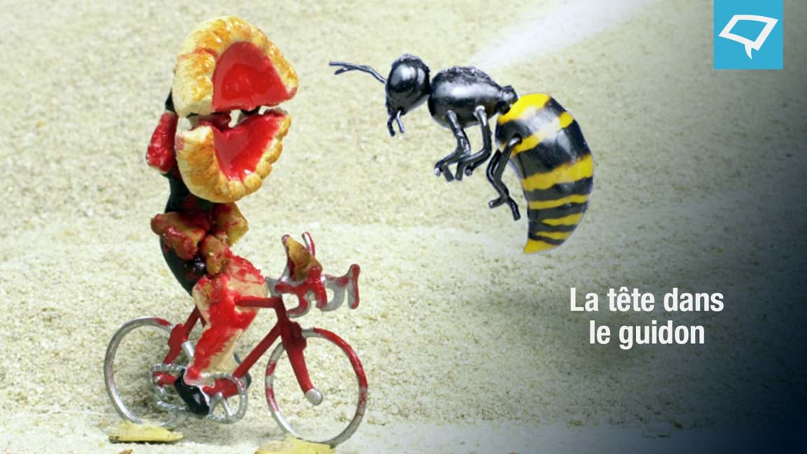 La tête dans le guidon