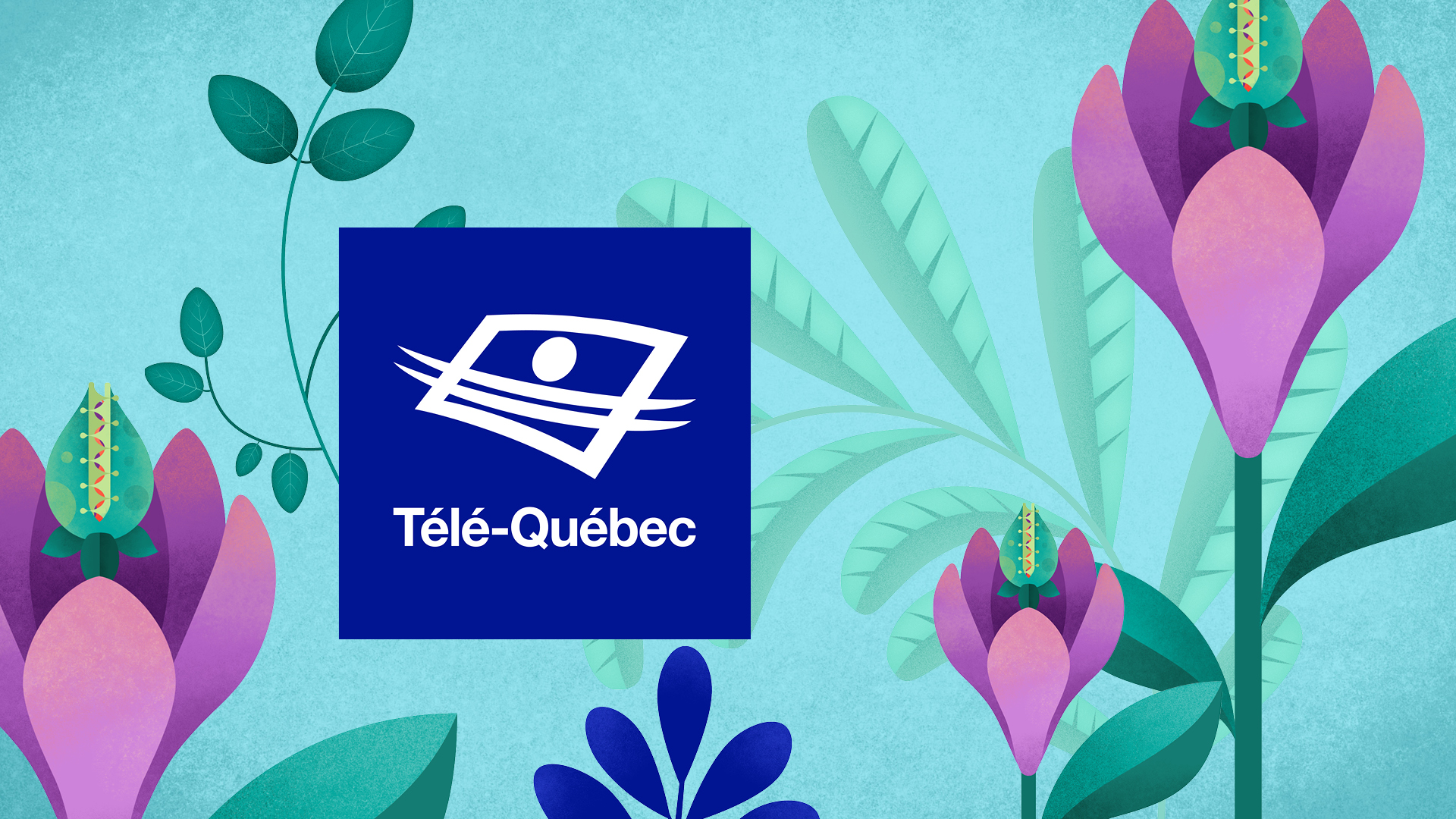 Plus que jamais Télé-Québec se télévore dans le plaisir