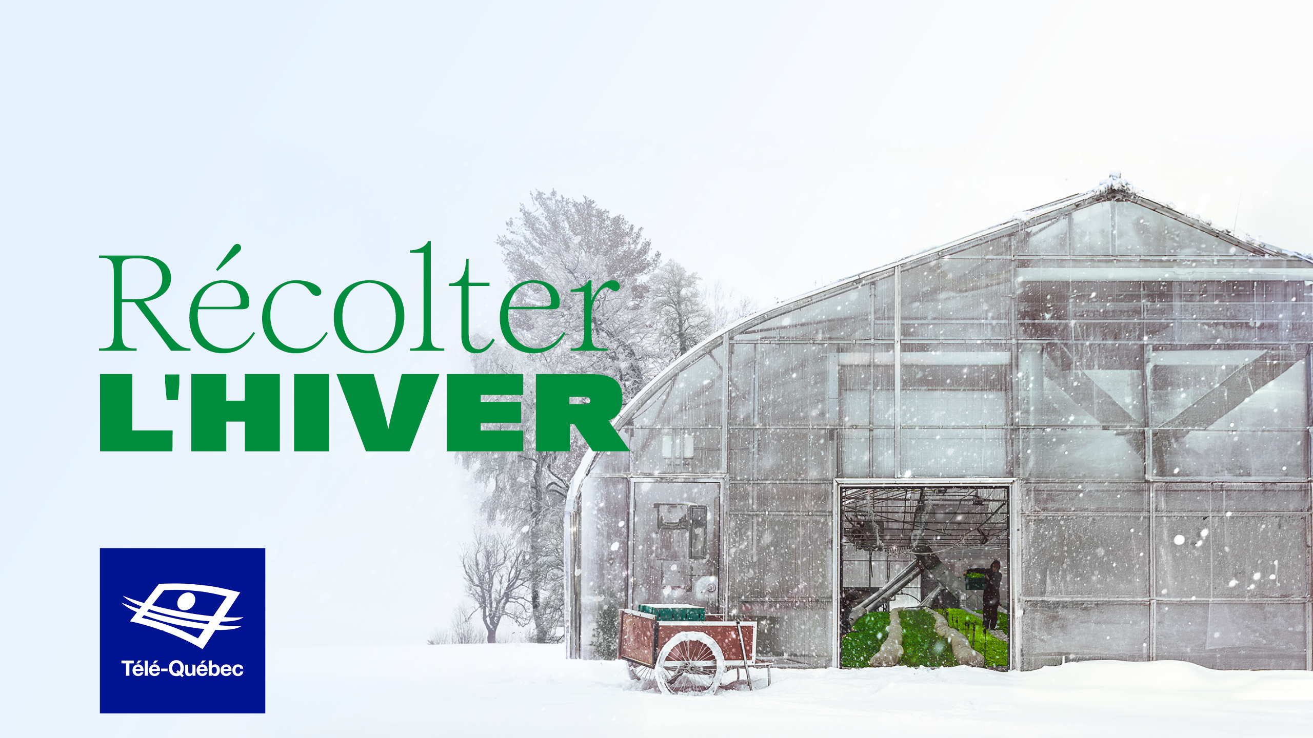 Récolter l'hiver, présenté le 10 janvier