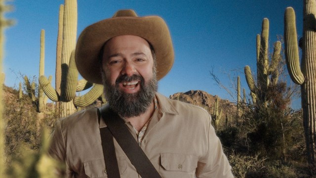 Cactus