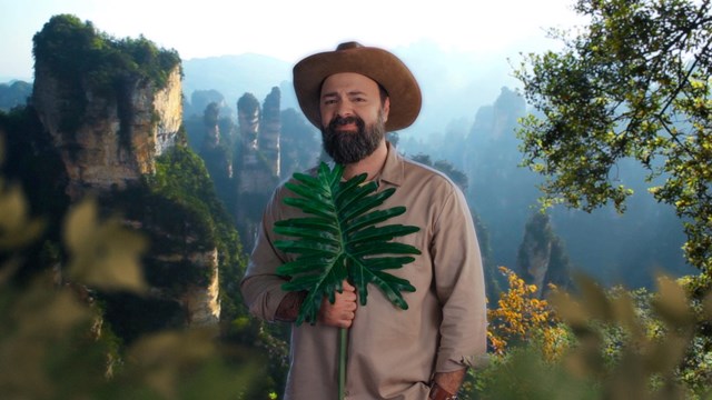 Léopard de l'Amour