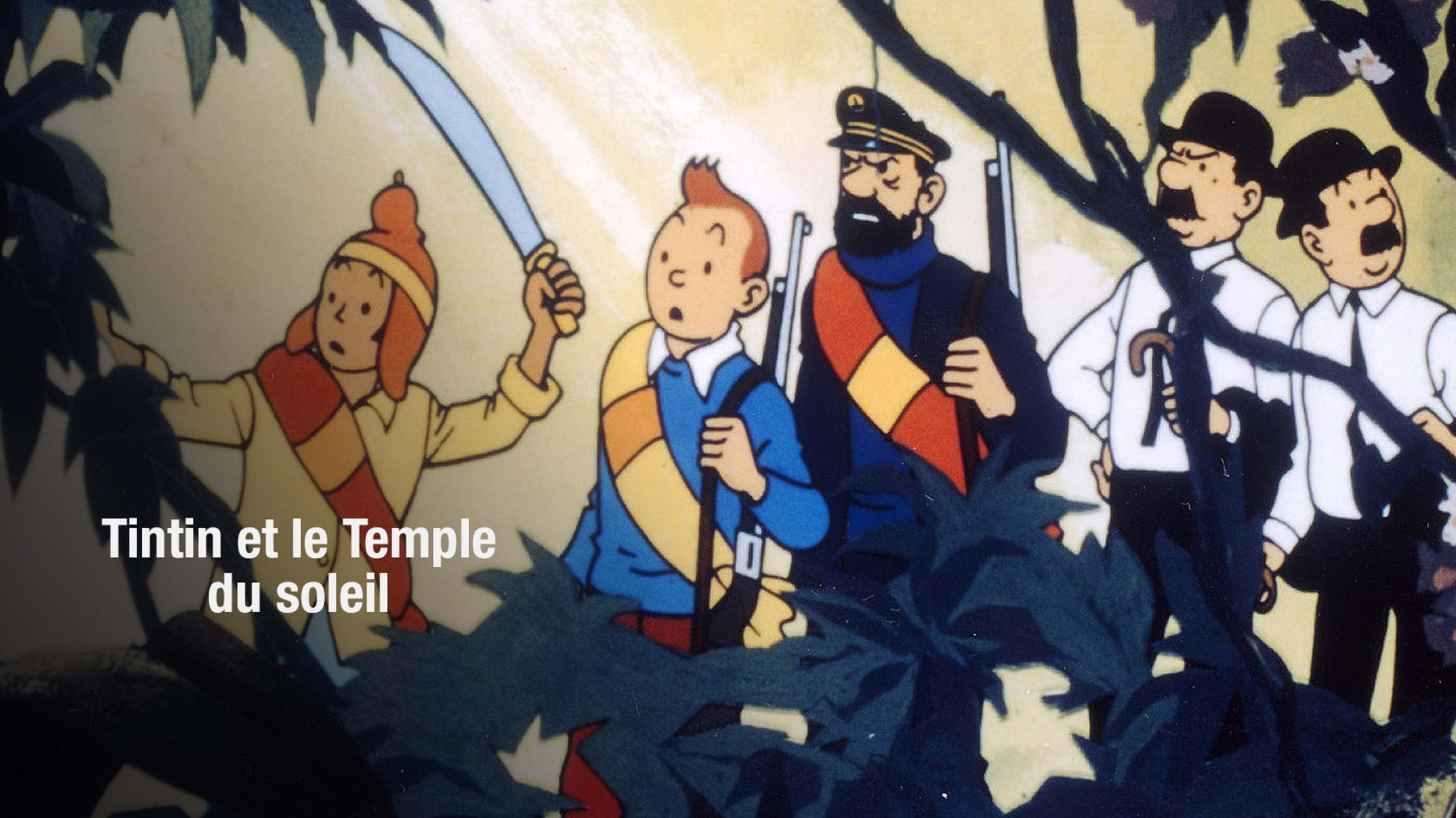 Tintin et le Temple du Soleil