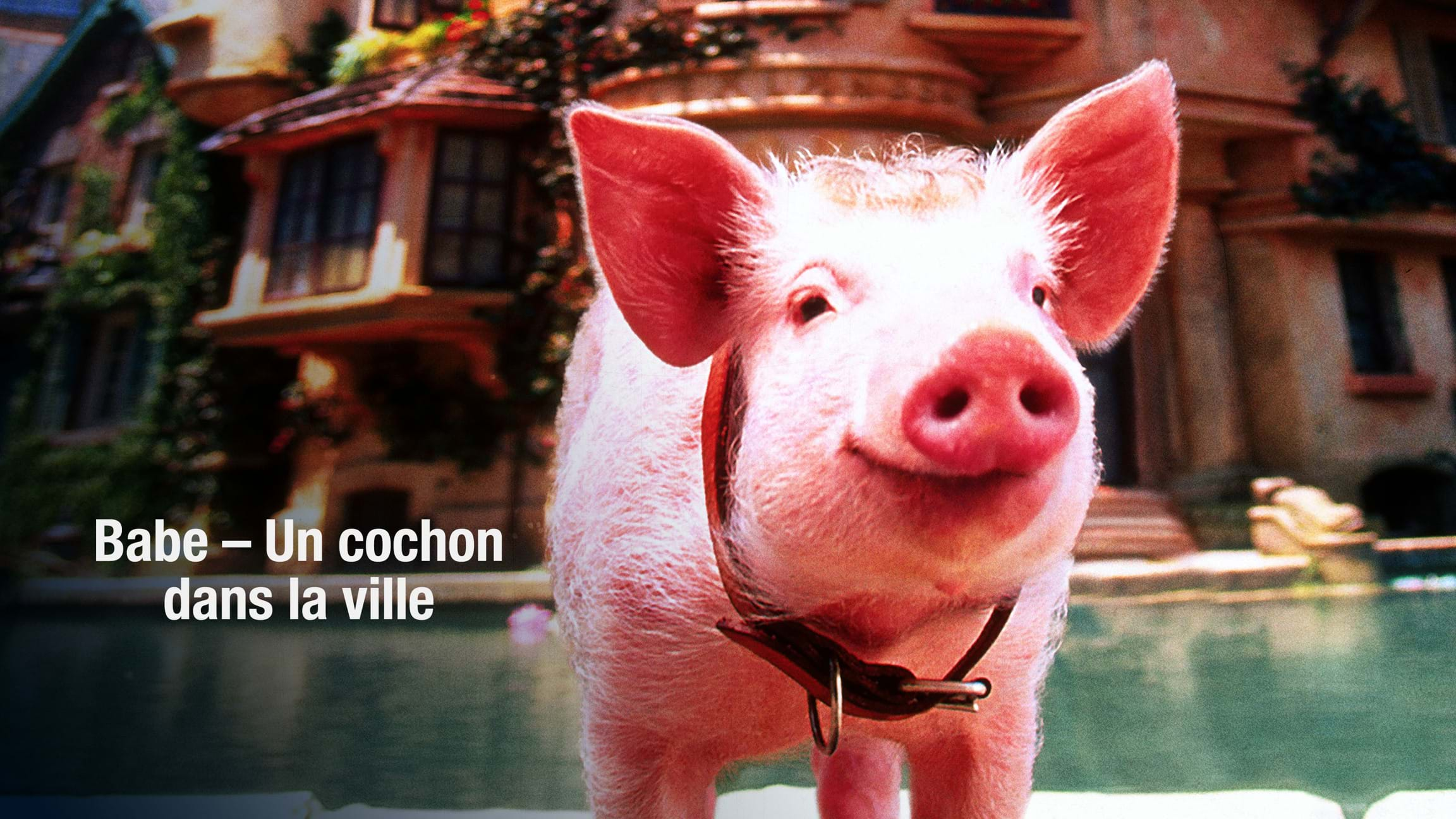 Babe: Un cochon dans la ville