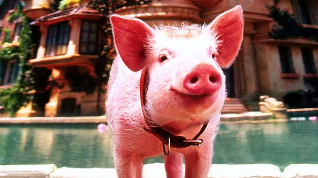 Babe: Un cochon dans la ville