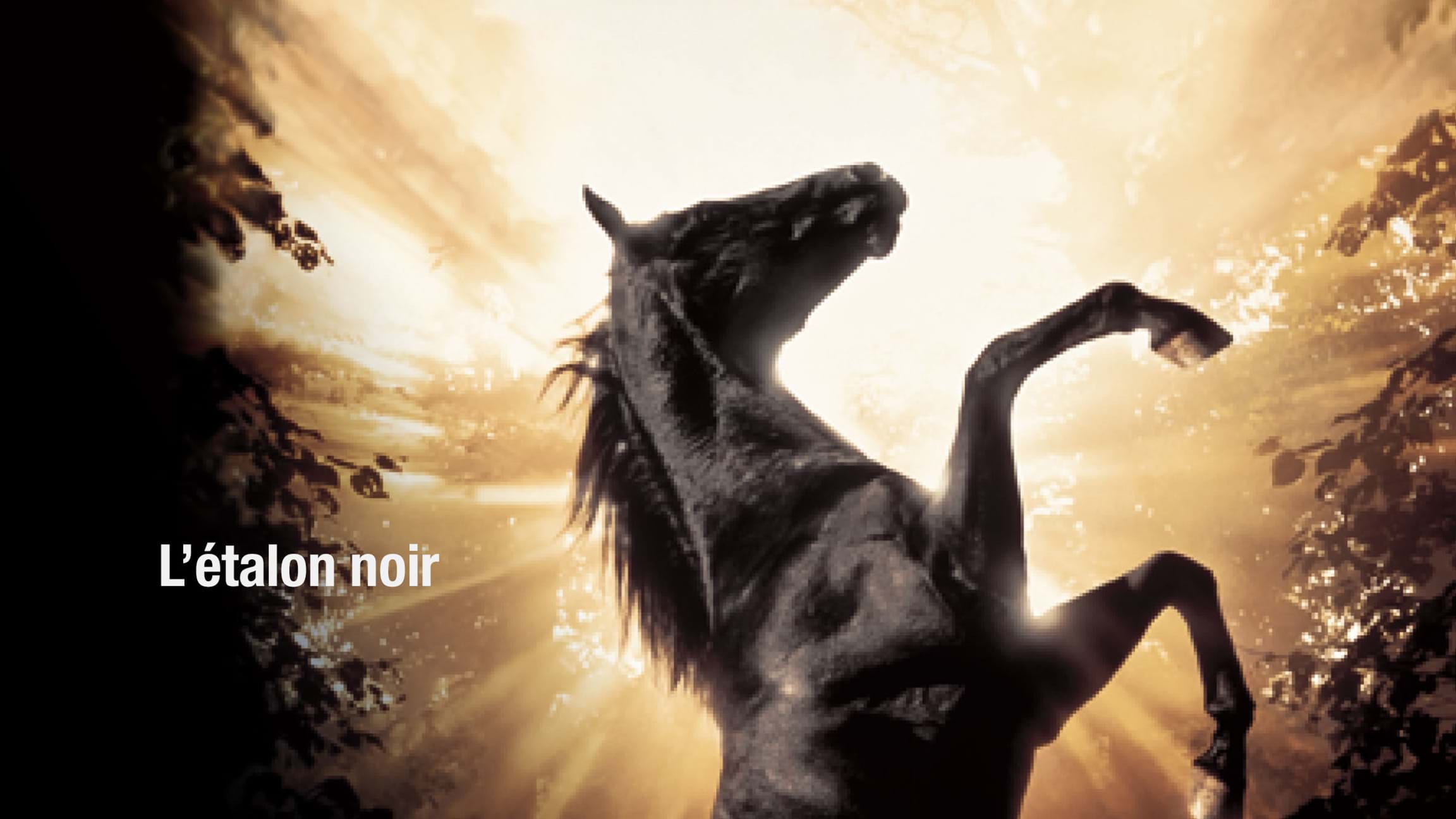 L'étalon noir