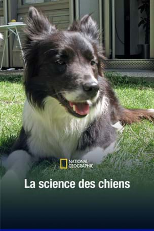 Aller vers La science des chiens