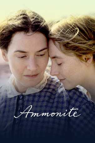 Aller vers Ammonite