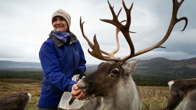 Le premier Noël du bébé renne