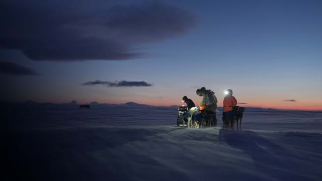 Musher, l'appel de l'Alaska