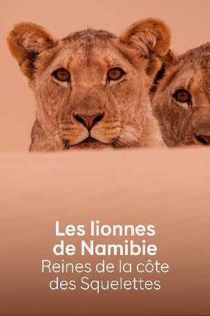 Aller vers Les lionnes de Namibie, reines de la côte des Squelettes