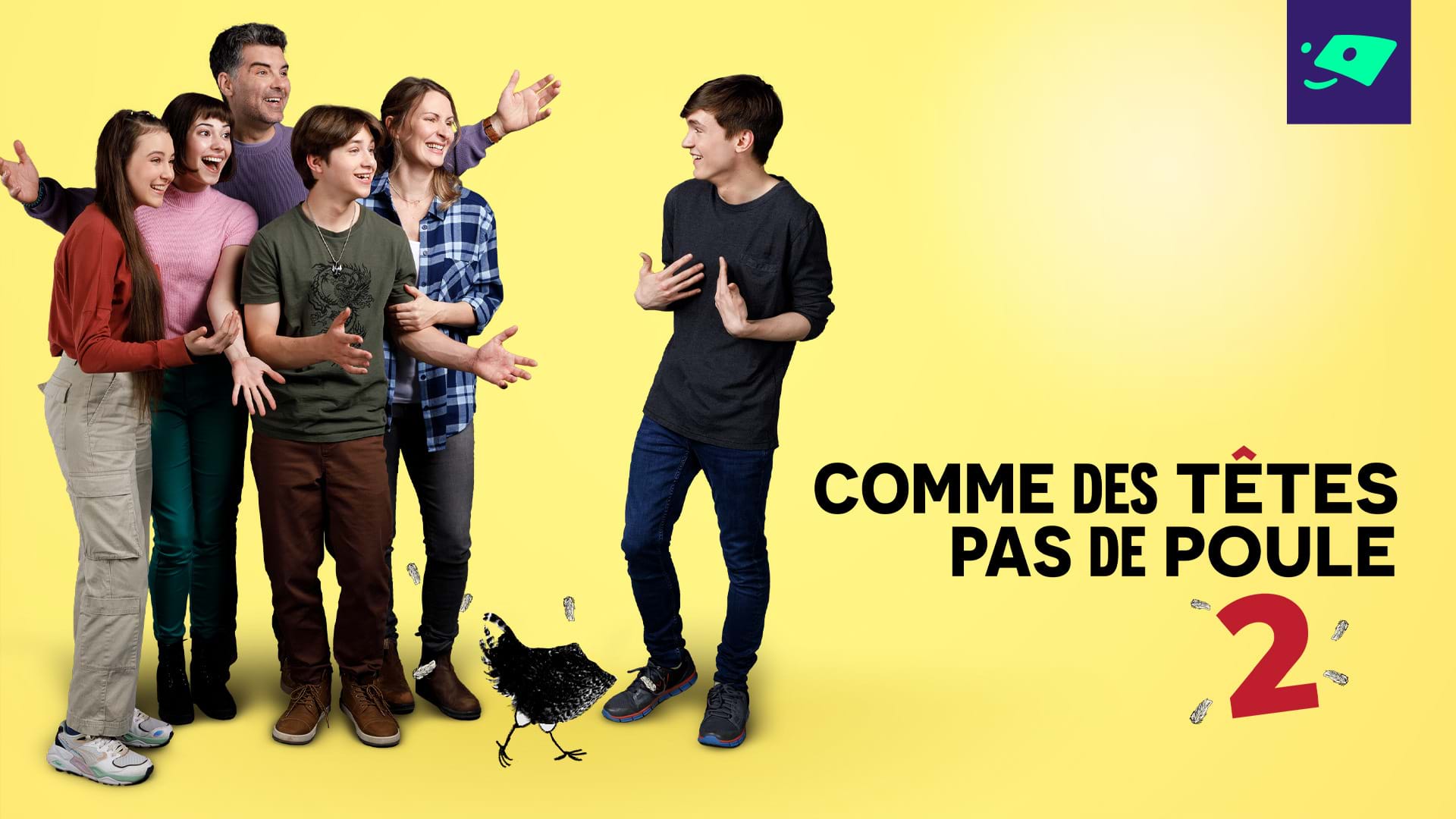 Comme des têtes pas de poule