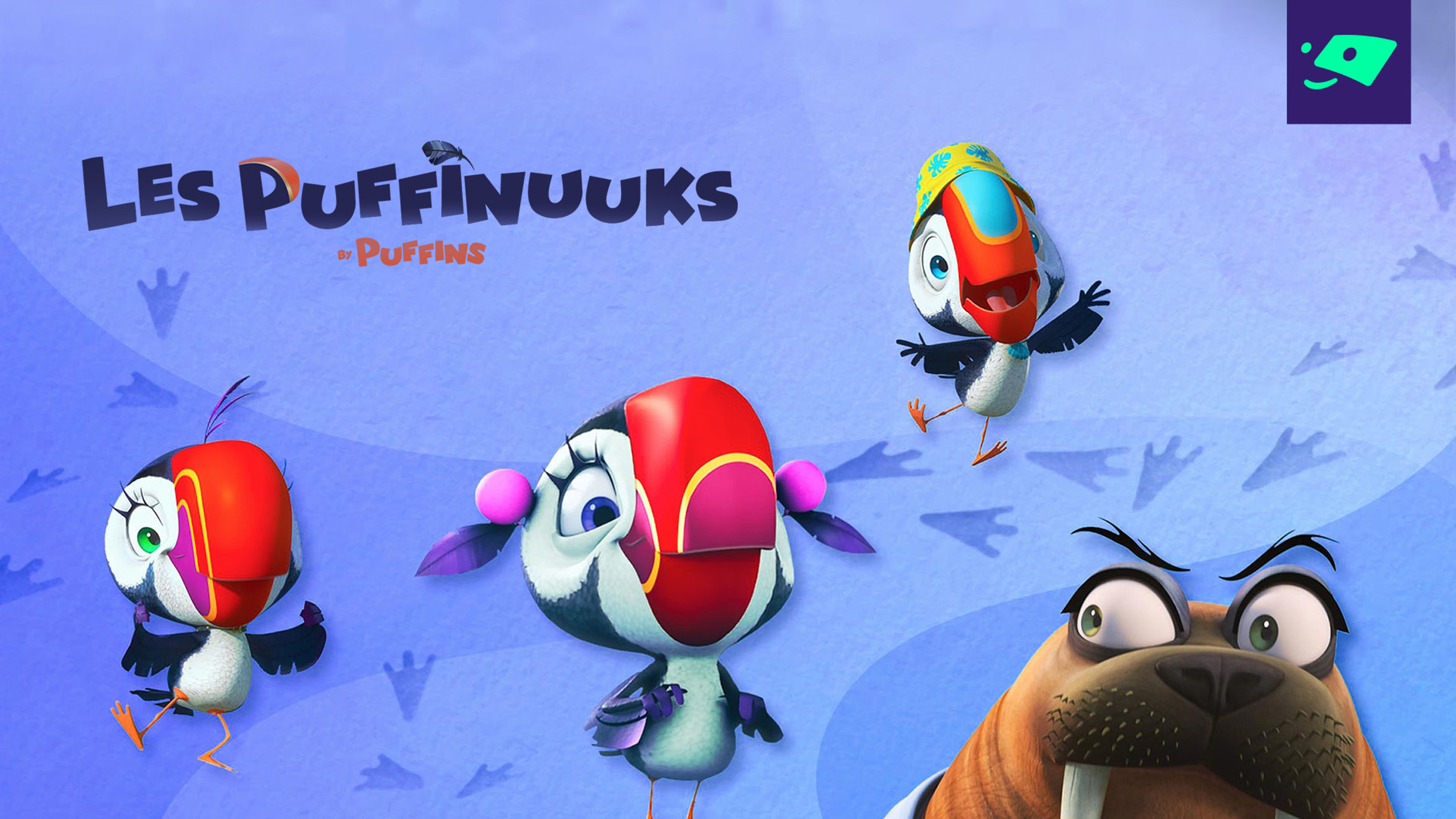 Les puffinuuks