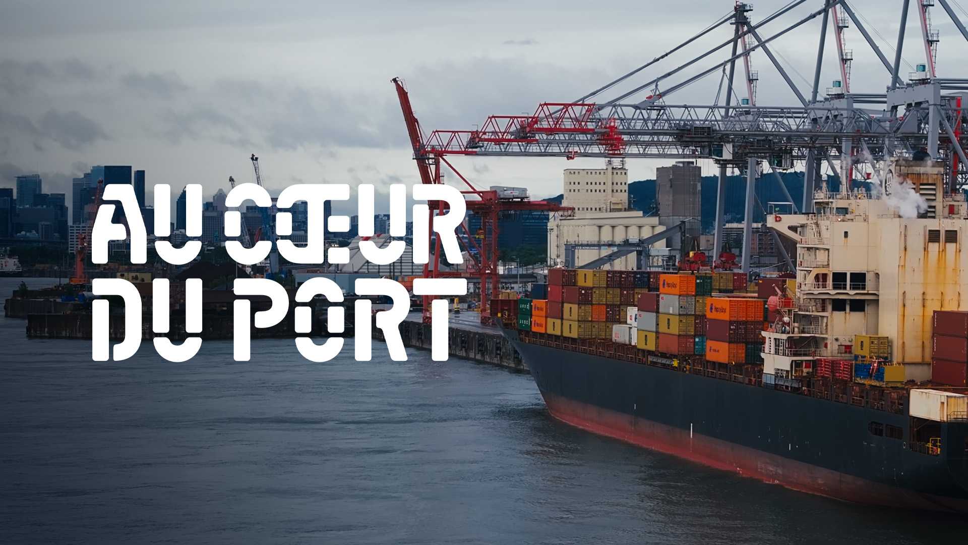 Au coeur du port