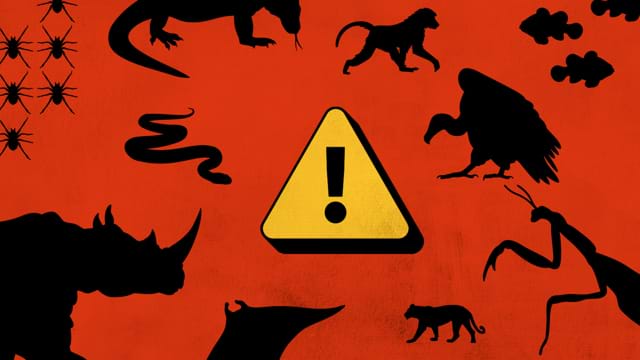 Défense de nourrir les animaux