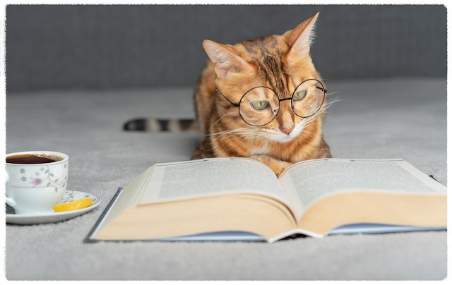 Jeudi 7 septembre | Duo de citations! ️🏆