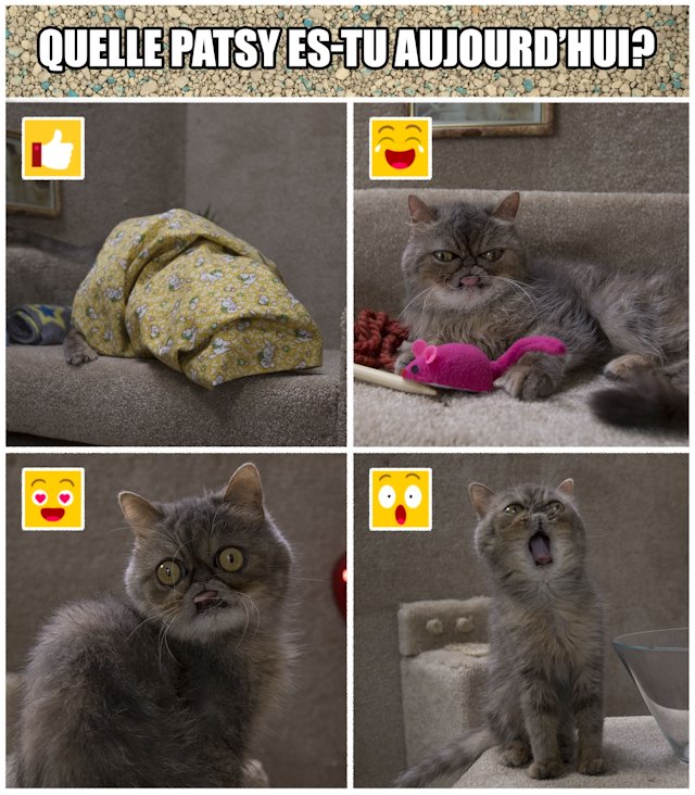 Comment Chat Va Comment Chat Va