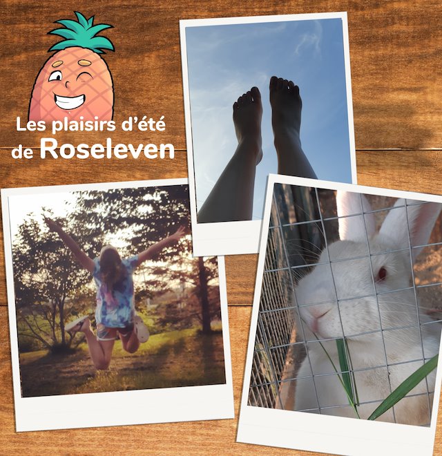 Roseleven