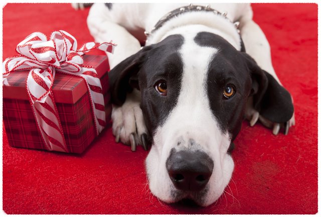 J'ai besoin de vos suggestions! 🙏 J'ai besoin de vos suggestions! 🙏